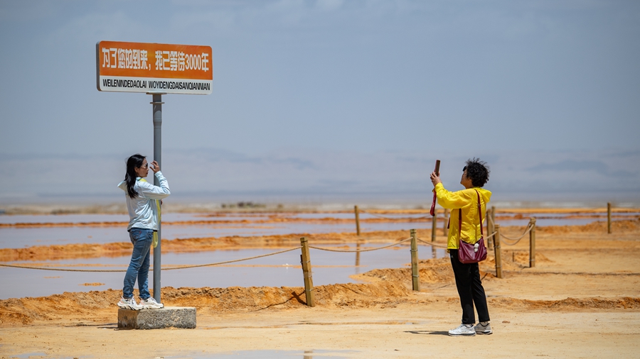 乘銀發旅游專列 赴秘境茫崖之約