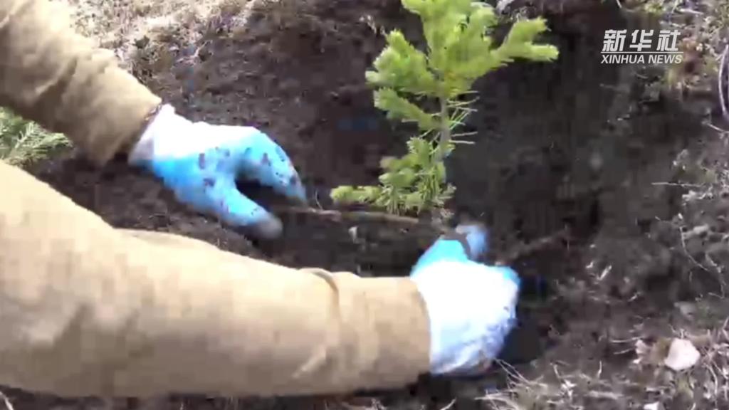 青?，斂珊恿謪^：加強生態保護，創新綠色發展新路徑